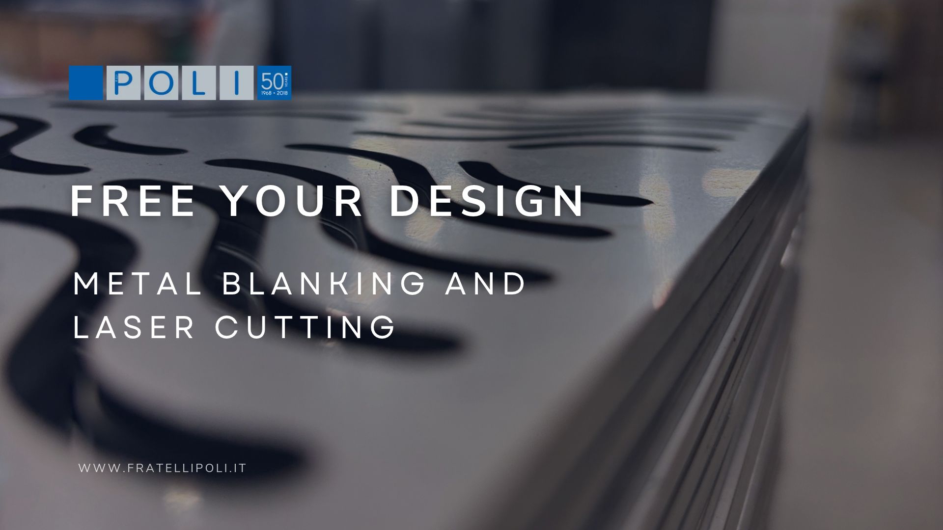 metal blanking laser cutting fratellipoli.it